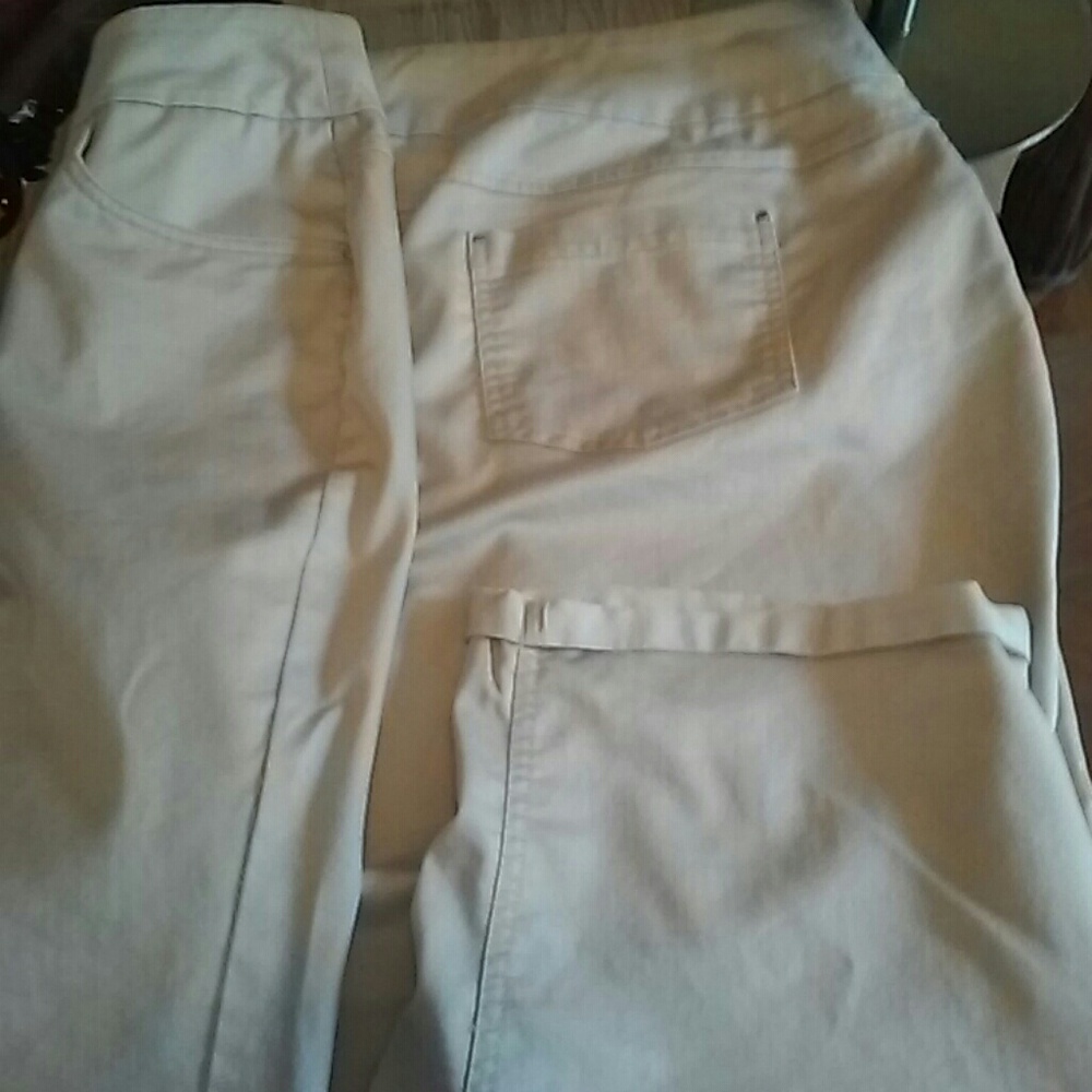 Counterparts Capri Pants